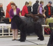 Превью фото № 117943