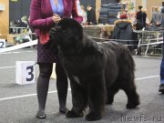 Превью фото № 117948