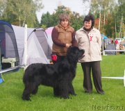 Превью фото № 117951