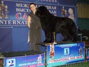 Превью фото № 118051