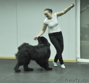 Превью фото № 118078