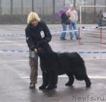 Превью фото № 11808