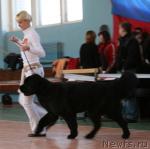 Превью фото № 11816