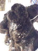 Превью фото № 118262