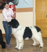 Превью фото № 118295