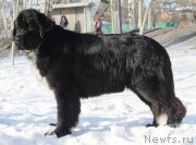 Превью фото № 118314