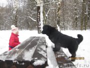 Превью фото № 118320