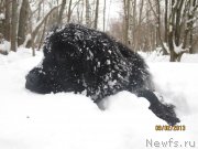 Превью фото № 118322