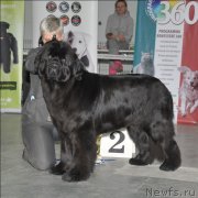 Превью фото № 118334