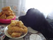 Превью фото № 118379