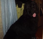 Превью фото № 118381