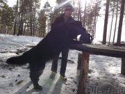 Превью фото № 118387