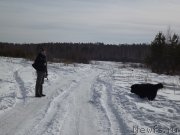 Превью фото № 118389