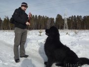 Превью фото № 118390