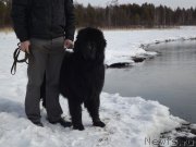 Превью фото № 118394