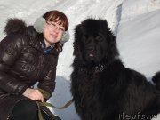 Превью фото № 118396