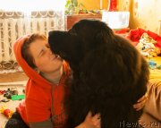 Превью фото № 118406