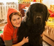 Превью фото № 118407