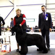 Превью фото № 118422