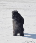 Превью фото № 118429