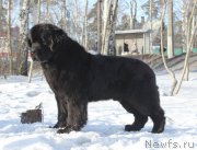 Превью фото № 118454