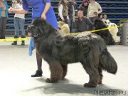 Превью фото № 118467