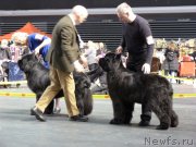 Превью фото № 118474