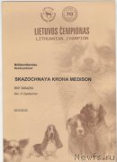 Превью фото № 118553