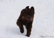 Превью фото № 118576