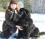 Превью фото № 118679