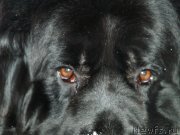 Превью фото № 118847