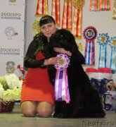 Превью фото № 118875