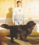 Превью фото № 1189