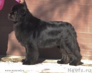 Превью фото № 118949