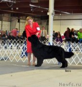 Превью фото № 119031