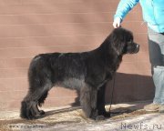 Превью фото № 119149