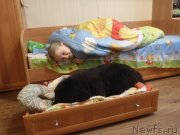 Превью фото № 119181