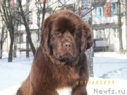 Превью фото № 119199