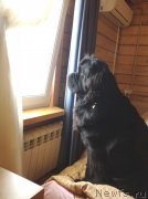 Превью фото № 119477