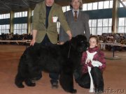 Превью фото № 119500