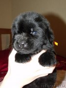 Превью фото № 119653