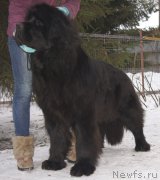 Превью фото № 119698