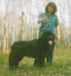 Превью фото № 1197