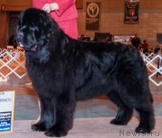 Превью фото № 119840