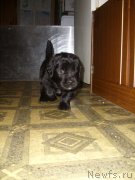 Превью фото № 119848