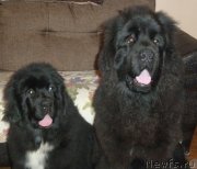 Превью фото № 120061