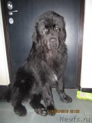 Превью фото № 120084