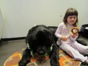 Превью фото № 120086