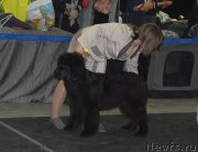 Превью фото № 120146