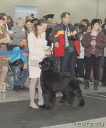 Превью фото № 120162